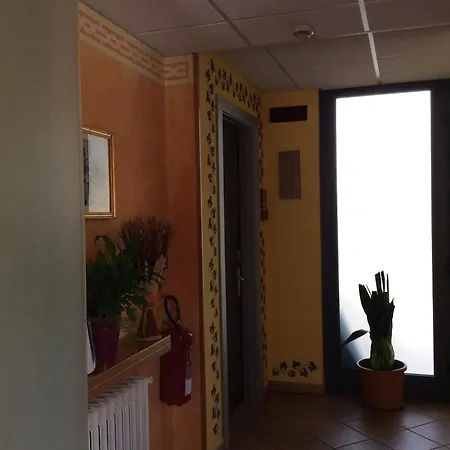 Rosa 3*