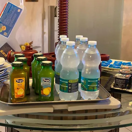 罗莎别墅酒店 西尔米奥奈